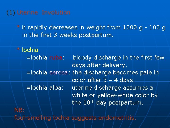 (1) Uterine Involution * it rapidly decreases in weight from 1000 g - 100