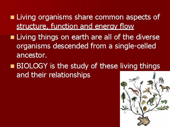 n Living organisms share common aspects of structure, function and energy flow n Living