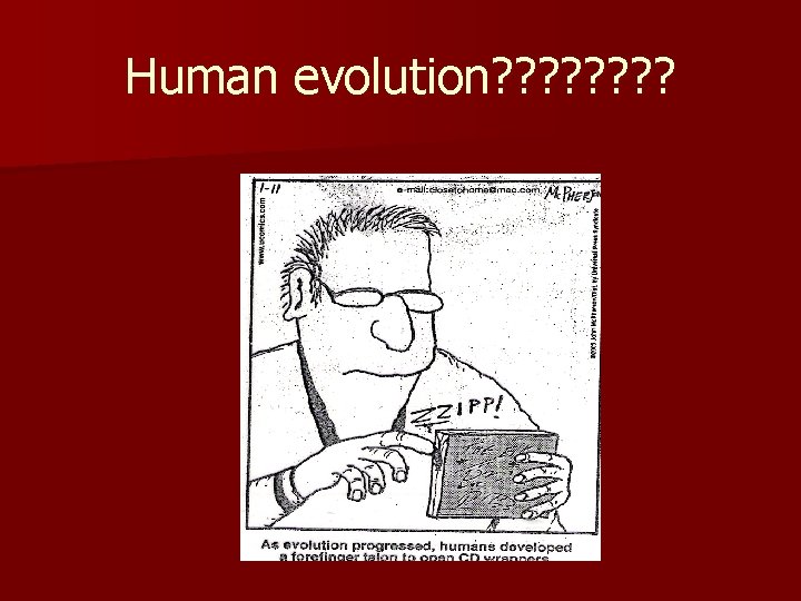 Human evolution? ? ? ? 