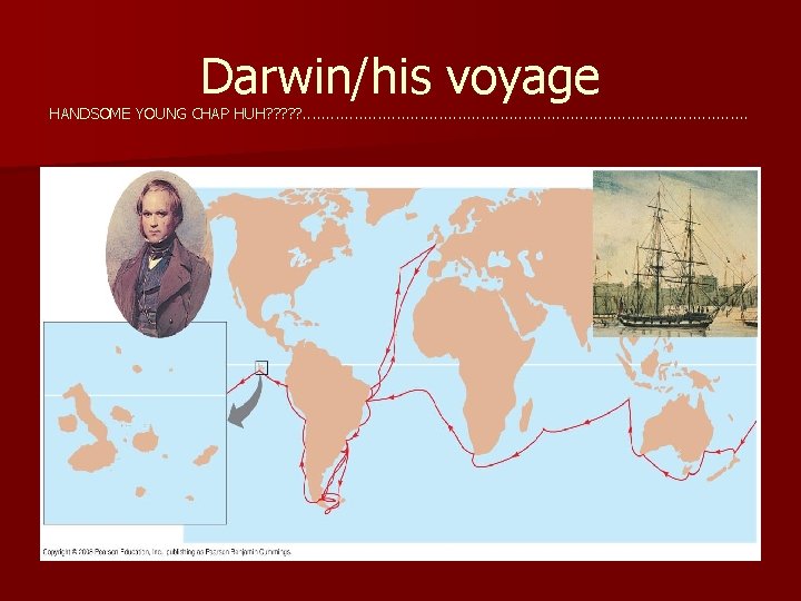 Darwin/his voyage HANDSOME YOUNG CHAP HUH? ? ? . . . . . .