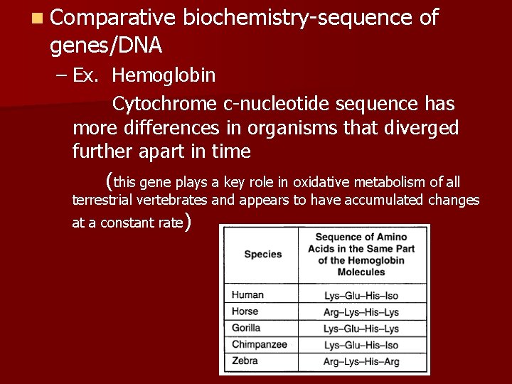 n Comparative genes/DNA biochemistry-sequence of – Ex. Hemoglobin Cytochrome c-nucleotide sequence has more differences