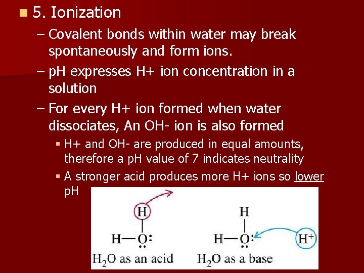 n 5. Ionization – Covalent bonds within water may break spontaneously and form ions.