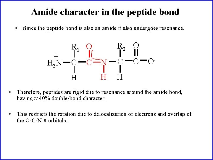 Amide character in the peptide bond • Since the peptide bond is also an