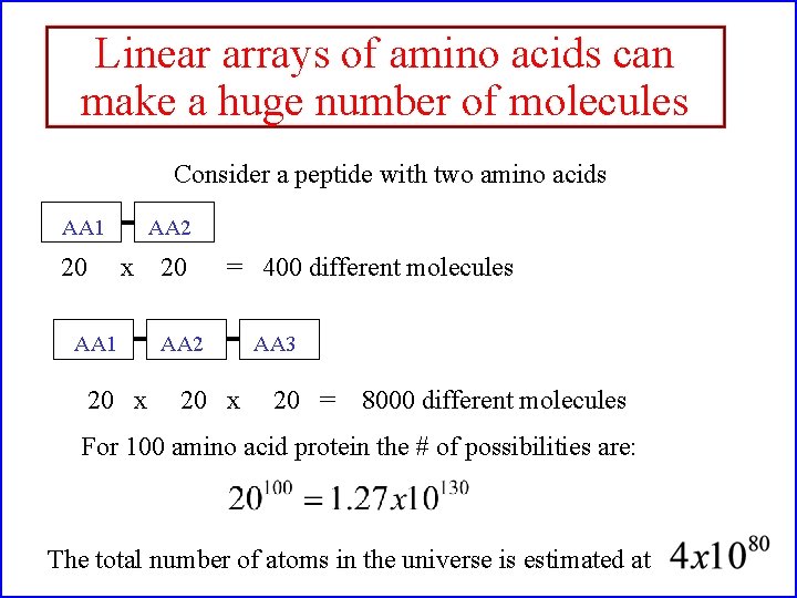 Linear arrays of amino acids can make a huge number of molecules Consider a
