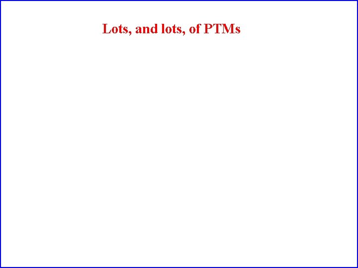 Lots, and lots, of PTMs 