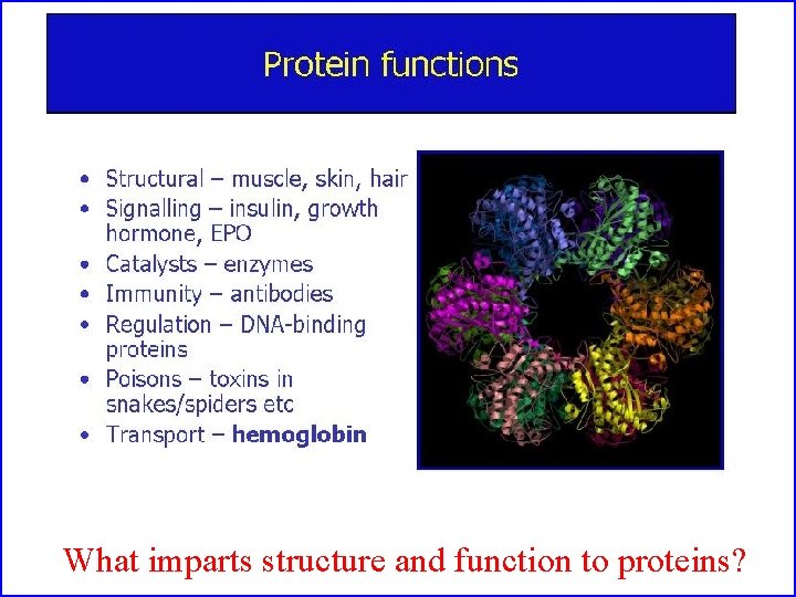 What imparts structure and function to proteins? 