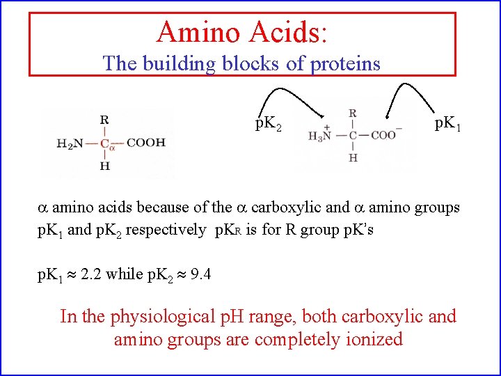 Amino Acids: The building blocks of proteins p. K 2 p. K 1 a