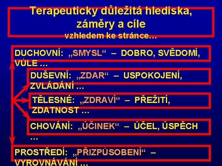 Terapeuticky důležitá hlediska, záměry a cíle vzhledem ke stránce… DUCHOVNÍ: „SMYSL“ – DOBRO, SVĚDOMÍ,