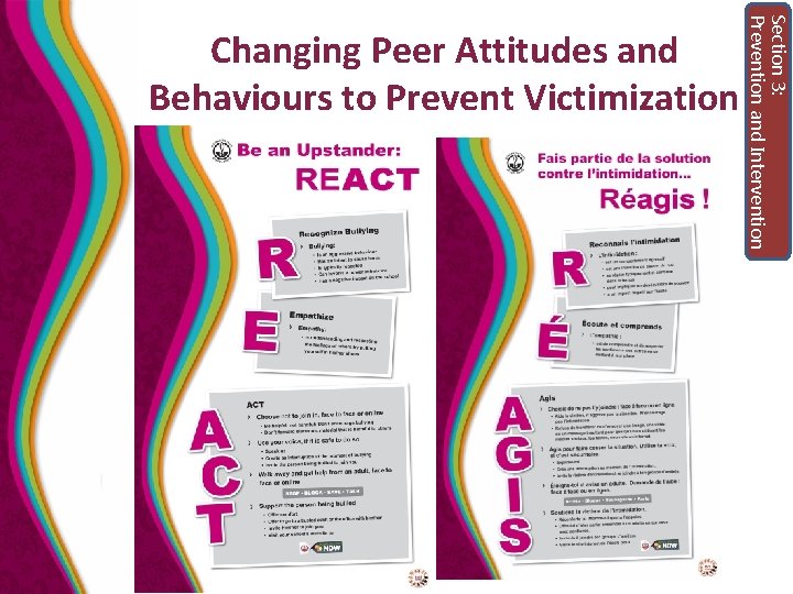 Section 3: Prevention and Intervention Changing Peer Attitudes and Behaviours to Prevent Victimization 