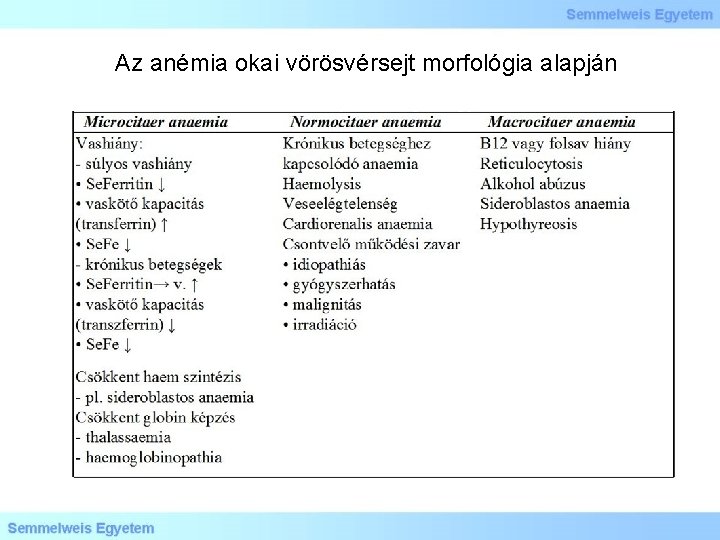 Az anémia okai vörösvérsejt morfológia alapján 