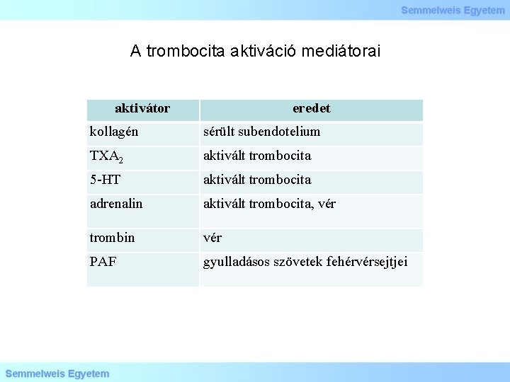 A trombocita aktiváció mediátorai aktivátor eredet kollagén sérült subendotelium TXA 2 aktivált trombocita 5