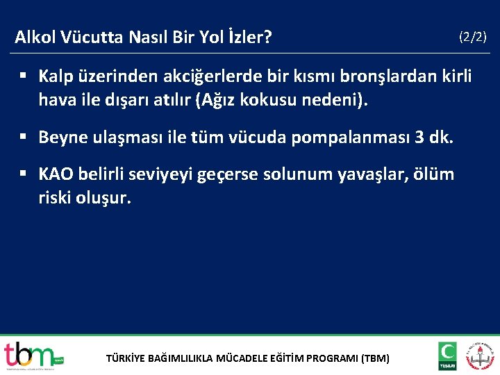 Alkol Vücutta Nasıl Bir Yol İzler? (2/2) § Kalp üzerinden akciğerlerde bir kısmı bronşlardan