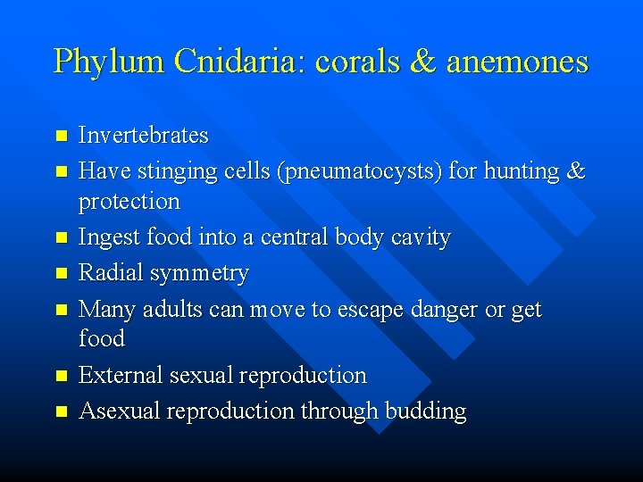 Phylum Cnidaria: corals & anemones n n n n Invertebrates Have stinging cells (pneumatocysts)