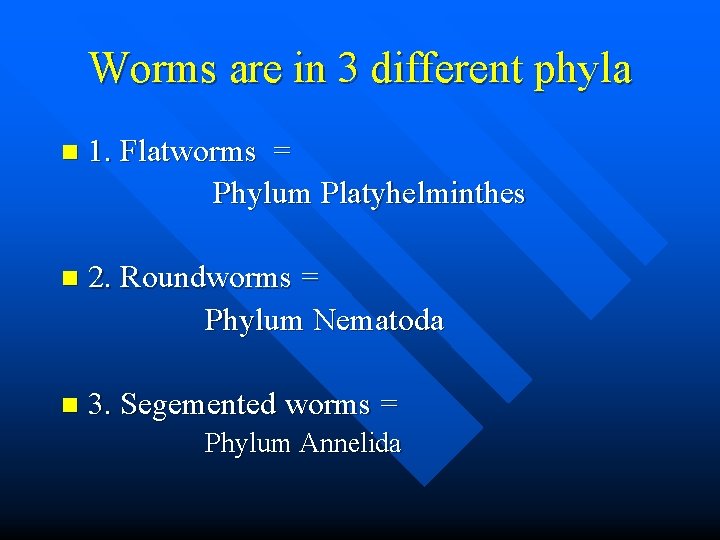 Worms are in 3 different phyla n 1. Flatworms = Phylum Platyhelminthes n 2.