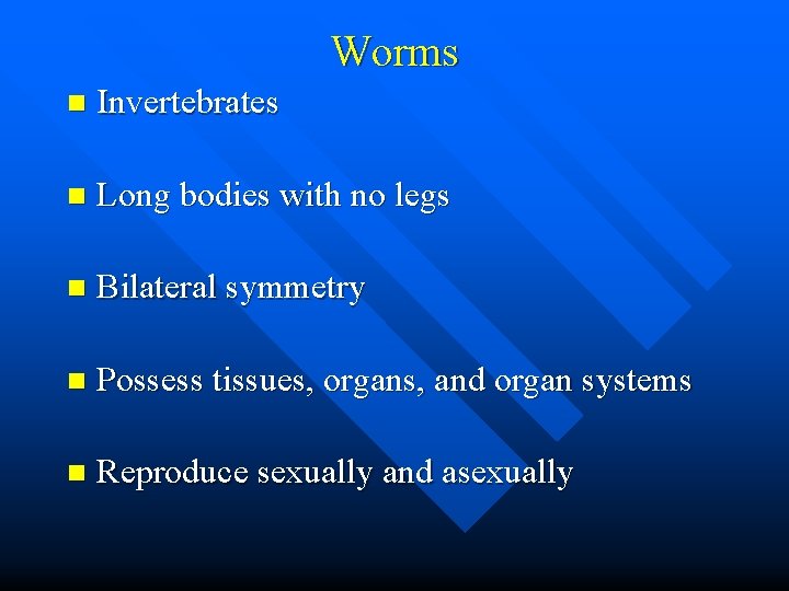 Worms n Invertebrates n Long bodies with no legs n Bilateral symmetry n Possess