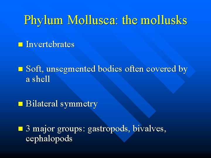 Phylum Mollusca: the mollusks n Invertebrates n Soft, unsegmented bodies often covered by a