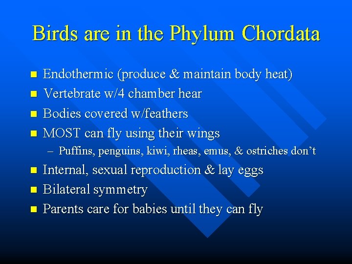 Birds are in the Phylum Chordata n n Endothermic (produce & maintain body heat)