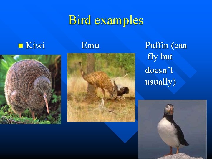 Bird examples n Kiwi Emu Puffin (can fly but doesn’t usually) 