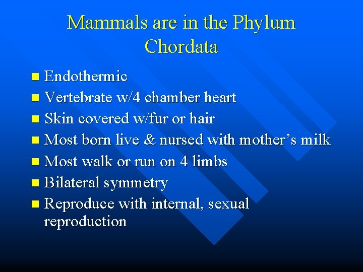 Mammals are in the Phylum Chordata Endothermic n Vertebrate w/4 chamber heart n Skin