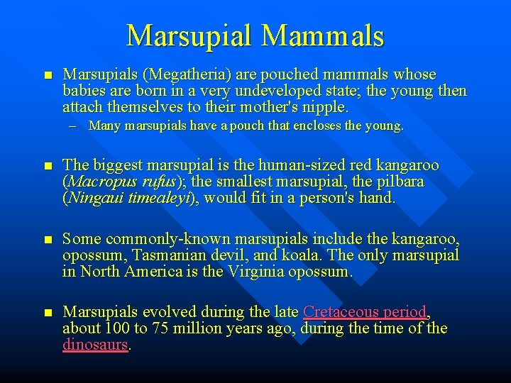 Marsupial Mammals n Marsupials (Megatheria) are pouched mammals whose babies are born in a