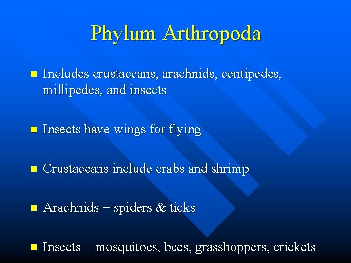 Phylum Arthropoda n Includes crustaceans, arachnids, centipedes, millipedes, and insects n Insects have wings