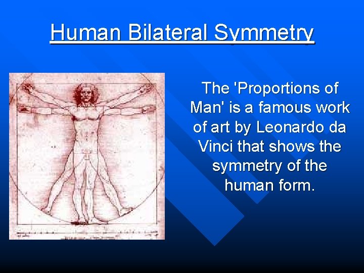 Human Bilateral Symmetry The 'Proportions of Man' is a famous work of art by