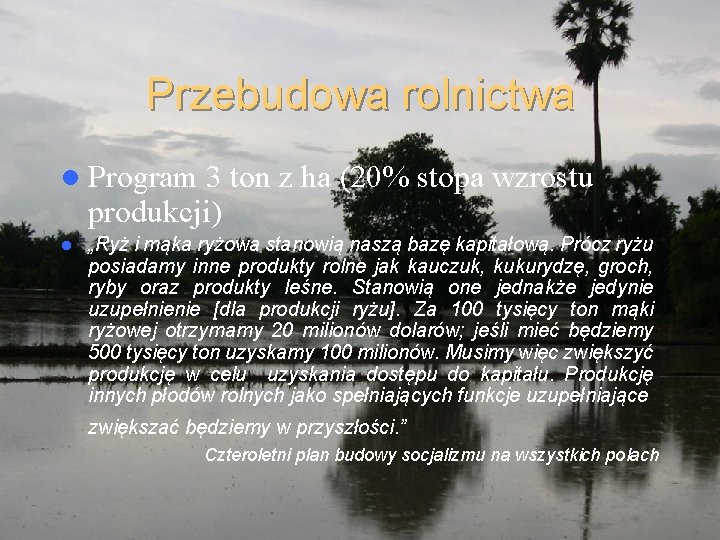 Przebudowa rolnictwa l Program 3 ton z ha (20% stopa wzrostu produkcji) l „Ryż