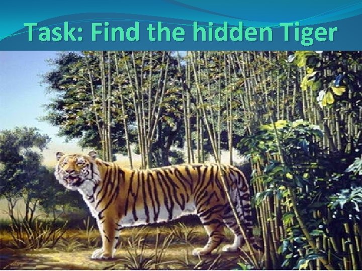 Task: Find the hidden Tiger 