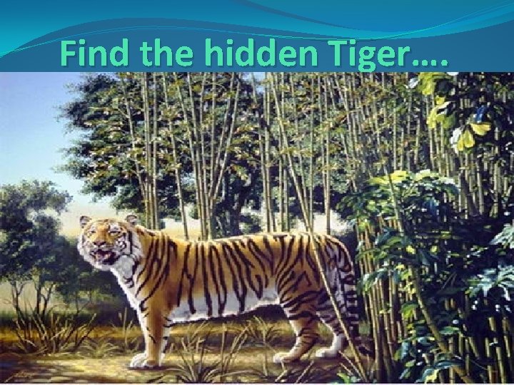 Find the hidden Tiger…. 