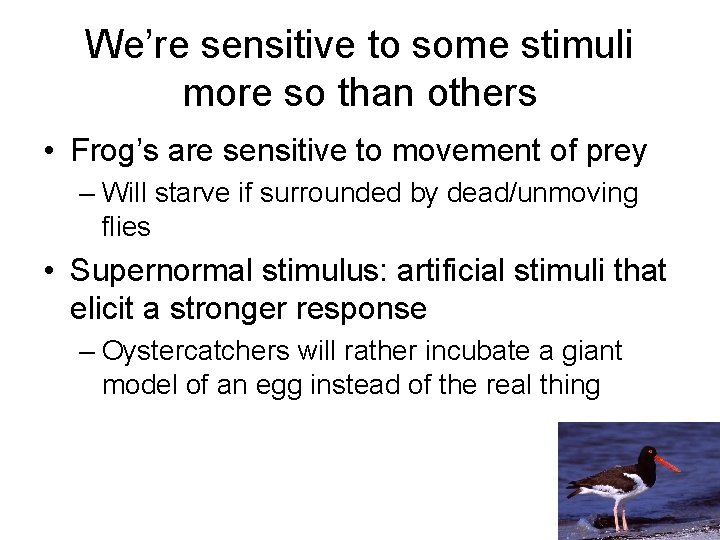 We’re sensitive to some stimuli more so than others • Frog’s are sensitive to