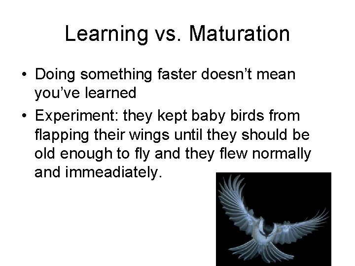 Learning vs. Maturation • Doing something faster doesn’t mean you’ve learned • Experiment: they