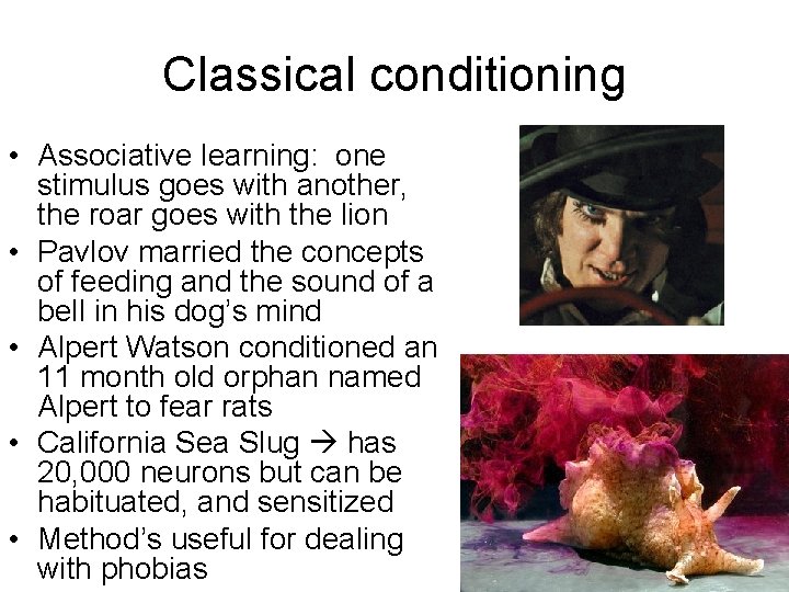 Classical conditioning • Associative learning: one stimulus goes with another, the roar goes with