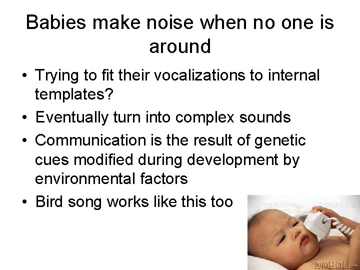 Babies make noise when no one is around • Trying to fit their vocalizations