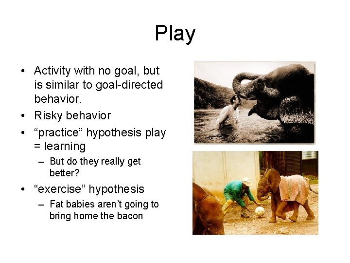 Play • Activity with no goal, but is similar to goal-directed behavior. • Risky