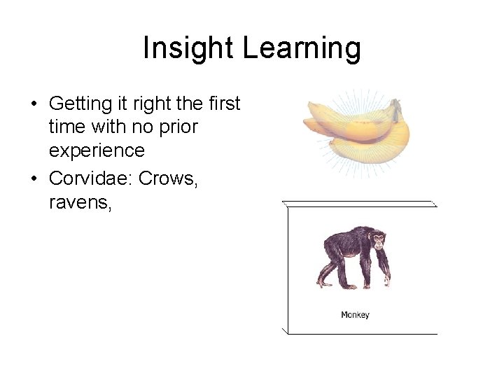 Insight Learning • Getting it right the first time with no prior experience •