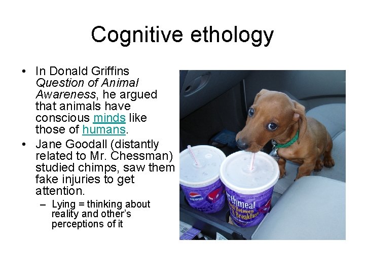 Cognitive ethology • In Donald Griffins Question of Animal Awareness, he argued that animals