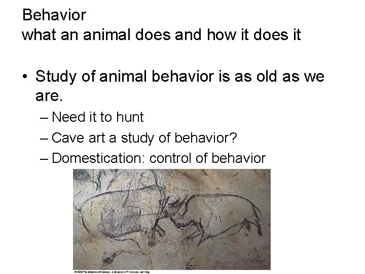 Behavior what an animal does and how it does it • Study of animal