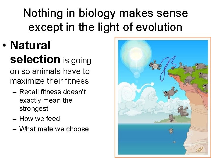 Nothing in biology makes sense except in the light of evolution • Natural selection