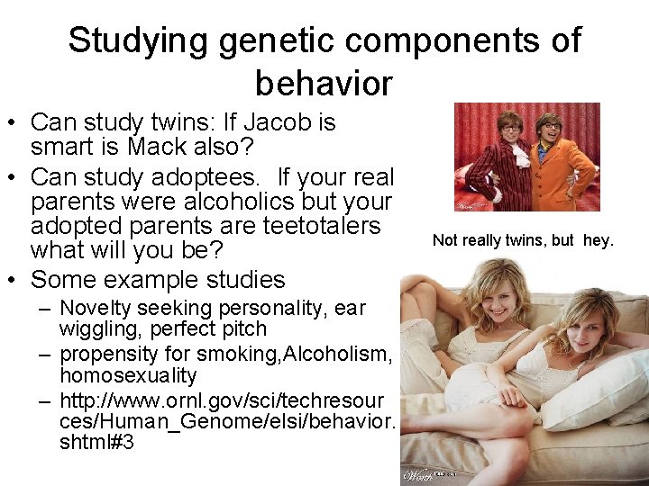 Studying genetic components of behavior • Can study twins: If Jacob is smart is