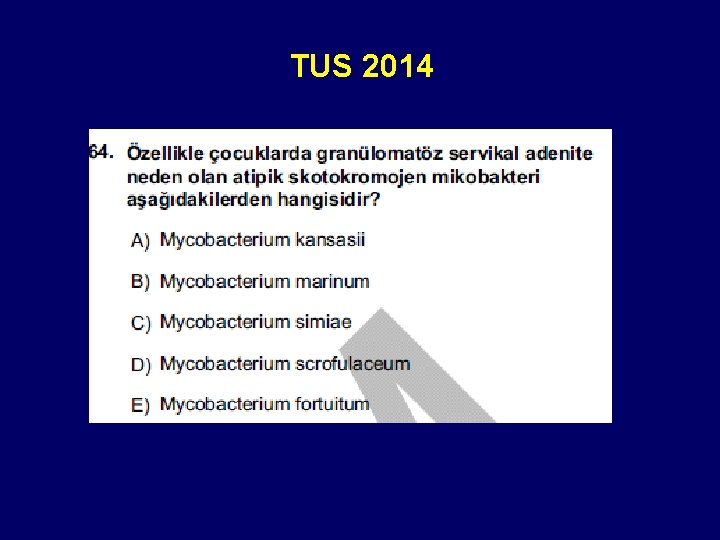 TUS 2014 