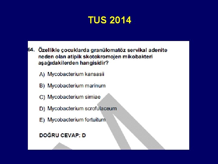 TUS 2014 