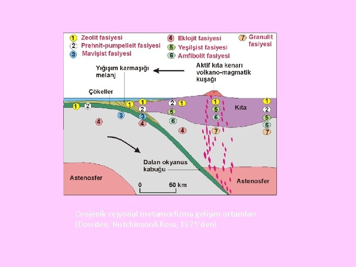 Orojenik-rejyonal metamorfizma gelişim ortamları (Dowden, Hutchinson&Ross, 1975’den) 