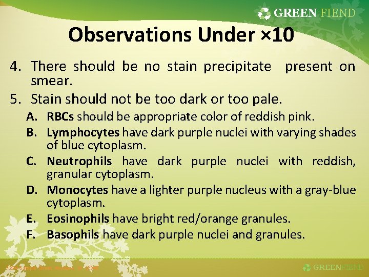 GREEN FIEND Observations Under × 10 4. There should be no stain precipitate present