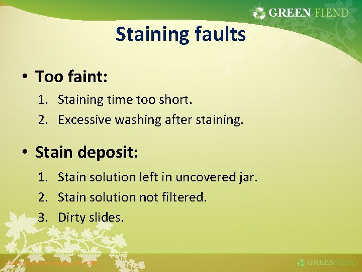 GREEN FIEND Staining faults • Too faint: 1. Staining time too short. 2. Excessive