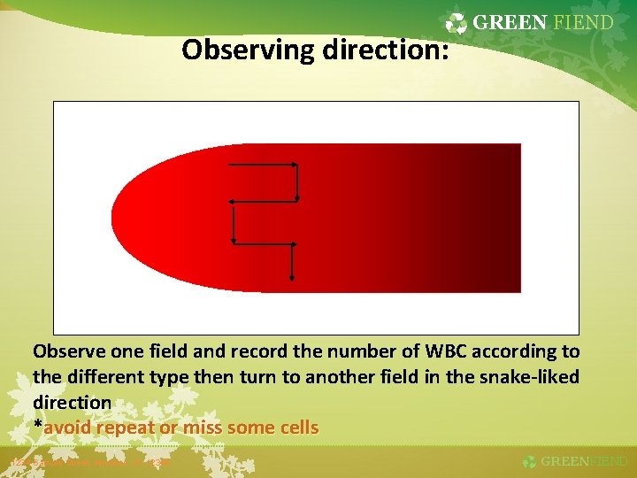 Observing direction: GREEN FIEND Observe one field and record the number of WBC according