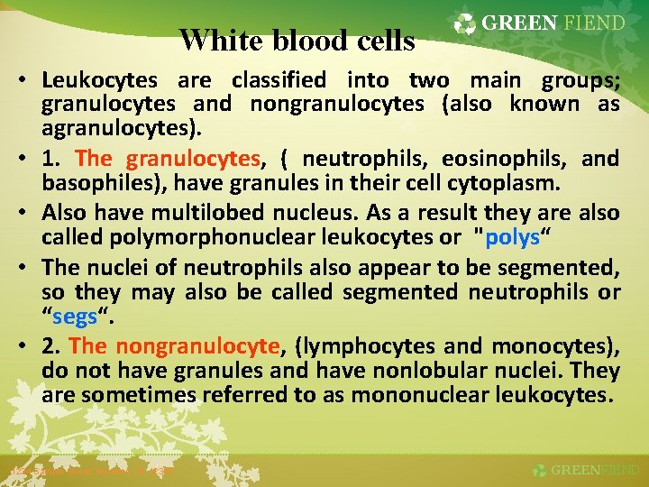 White blood cells GREEN FIEND • Leukocytes are classified into two main groups; granulocytes