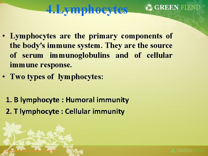 4. Lymphocytes GREEN FIEND • Lymphocytes are the primary components of the body's immune