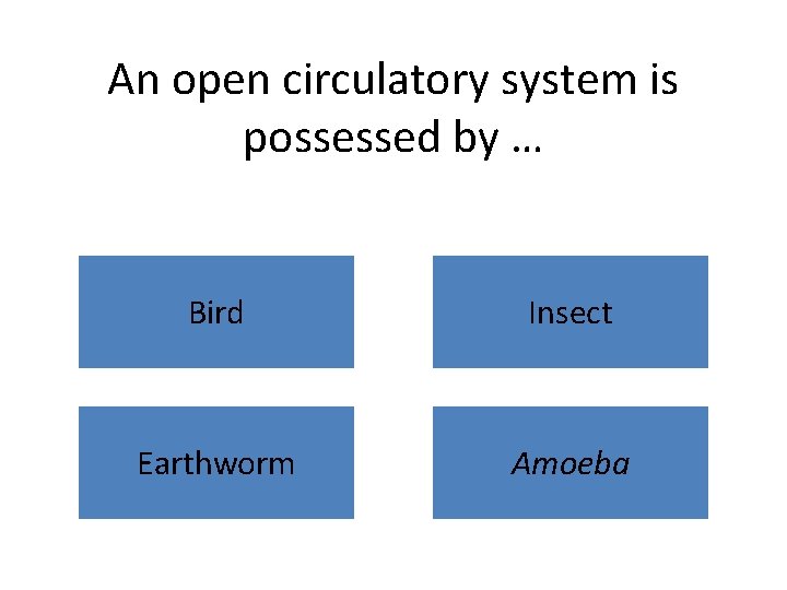 An open circulatory system is possessed by … Bird Insect Earthworm Amoeba 