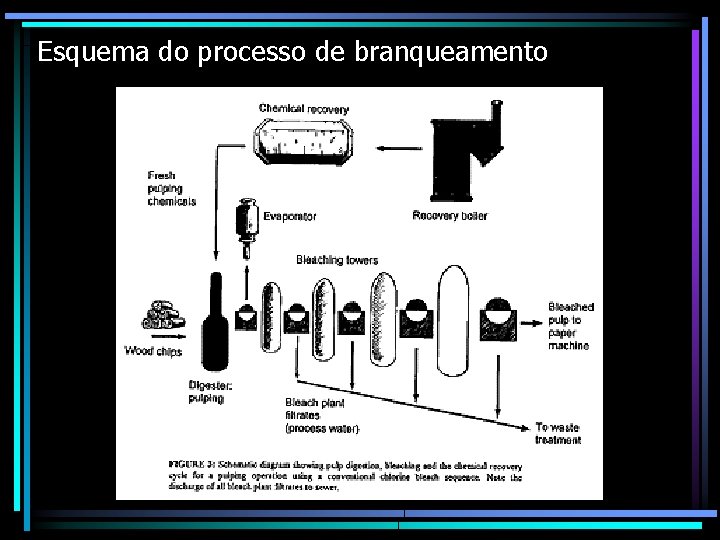 Esquema do processo de branqueamento 