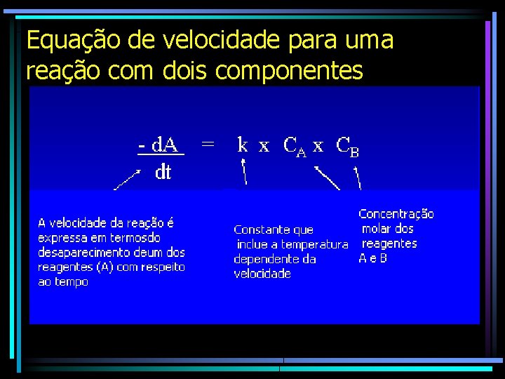 Equação de velocidade para uma reação com dois componentes 